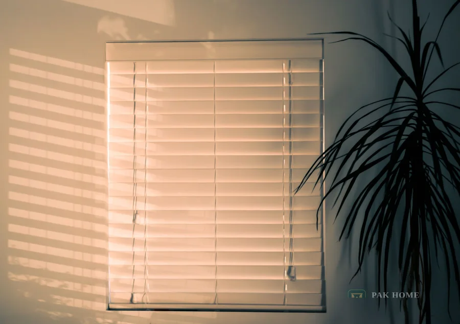 Wooden venetian blind tilted across a window with a potted plant beside it