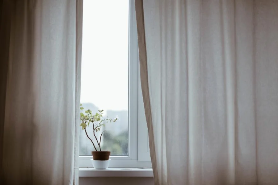 Pale sheer curtains hanging at a window with a small plant on the sill